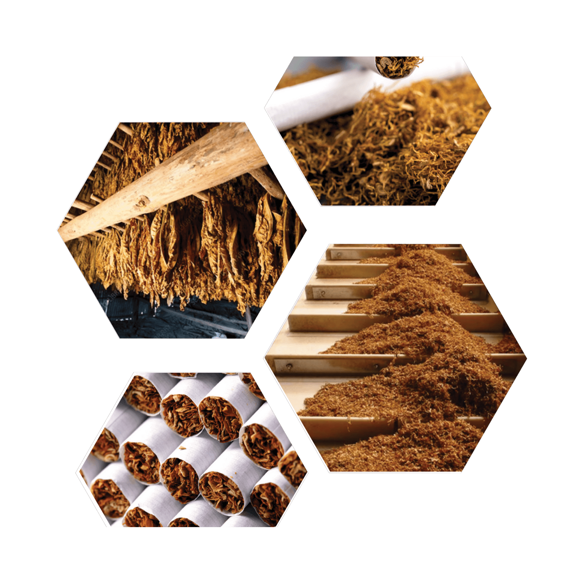 Tobacco Processing, Cigarette Making & Packaging Machine