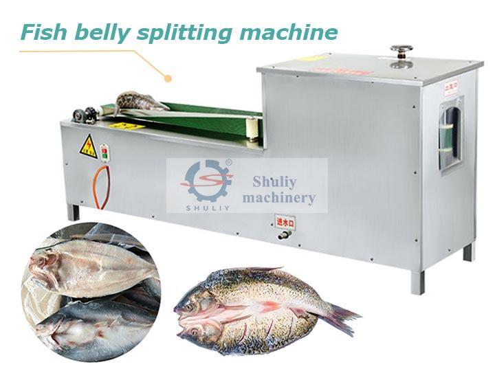 fish-belly-splitting-machine