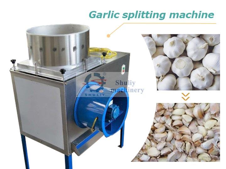 garlic-splitting-machine