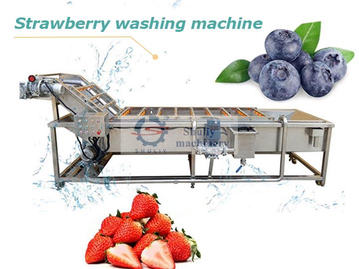industrial-strawberryblueberry-washing-machine
