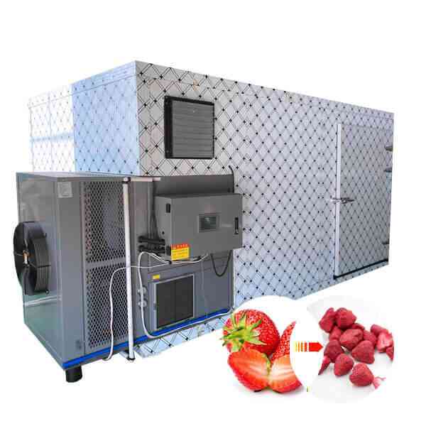 strawberry dryer