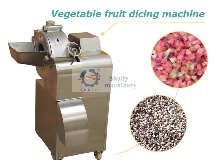 vegetable-dicing-machine